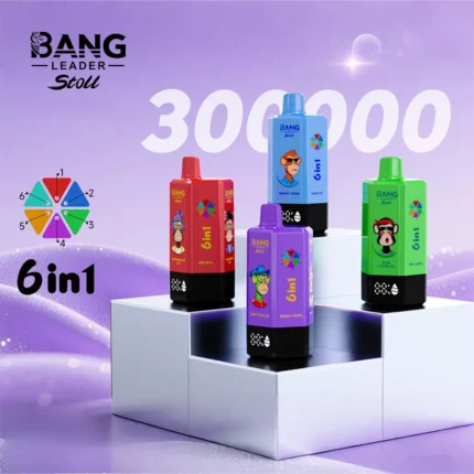 Bang Leader Stoll 300000 Puffs Vape – 6-in-1フレーバーシステム 超高容量 メッシュコイルType-C充電OEM/ODM対応