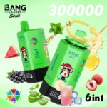 Bang Leader Stoll 300000 Puffs Vape – 6-in-1フレーバーシステム 超高容量 メッシュコイルType-C充電OEM/ODM対応 - 画像 (2)