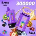 Bang Leader Stoll 300000 Puffs Vape – 6-in-1フレーバーシステム 超高容量 メッシュコイルType-C充電OEM/ODM対応 - 画像 (4)