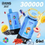 Bang Leader Stoll 300000 Puffs Vape – 6-in-1フレーバーシステム 超高容量 メッシュコイルType-C充電OEM/ODM対応 - 画像 (5)