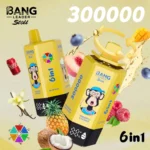 Bang Leader Stoll 300000 Puffs Vape – 6-in-1フレーバーシステム 超高容量 メッシュコイルType-C充電OEM/ODM対応 - 画像 (7)