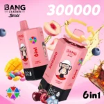 Bang Leader Stoll 300000 Puffs Vape – 6-in-1フレーバーシステム 超高容量 メッシュコイルType-C充電OEM/ODM対応 - 画像 (8)
