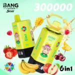Bang Leader Stoll 300000 Puffs Vape – 6-in-1フレーバーシステム 超高容量 メッシュコイルType-C充電OEM/ODM対応 - 画像 (11)