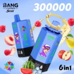 Bang Leader Stoll 300000 Puffs Vape – 6-in-1フレーバーシステム 超高容量 メッシュコイルType-C充電OEM/ODM対応 - 画像 (12)