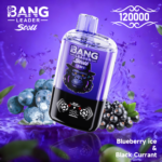 BANG LEADER STOLL 12万 - 画像 (11)