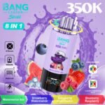 Bang Leader 35万回 - 画像 (11)