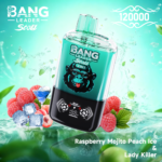 BANG LEADER STOLL 12万 - 画像 (12)