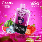 BANG LEADER STOLL 12万 - 画像 (13)