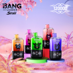 BANG LEADER STOLL 12万 - 画像 (14)