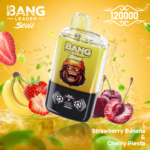 BANG LEADER STOLL 12万 - 画像 (5)