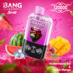 BANG LEADER STOLL 12万 - 画像 (6)