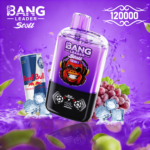 BANG LEADER STOLL 12万 - 画像 (8)