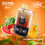 BANG LEADER STOLL 12万 - 画像 (9)